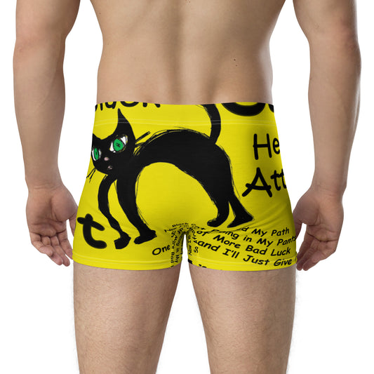 Black Cat Heart Attack Boxer Briefs