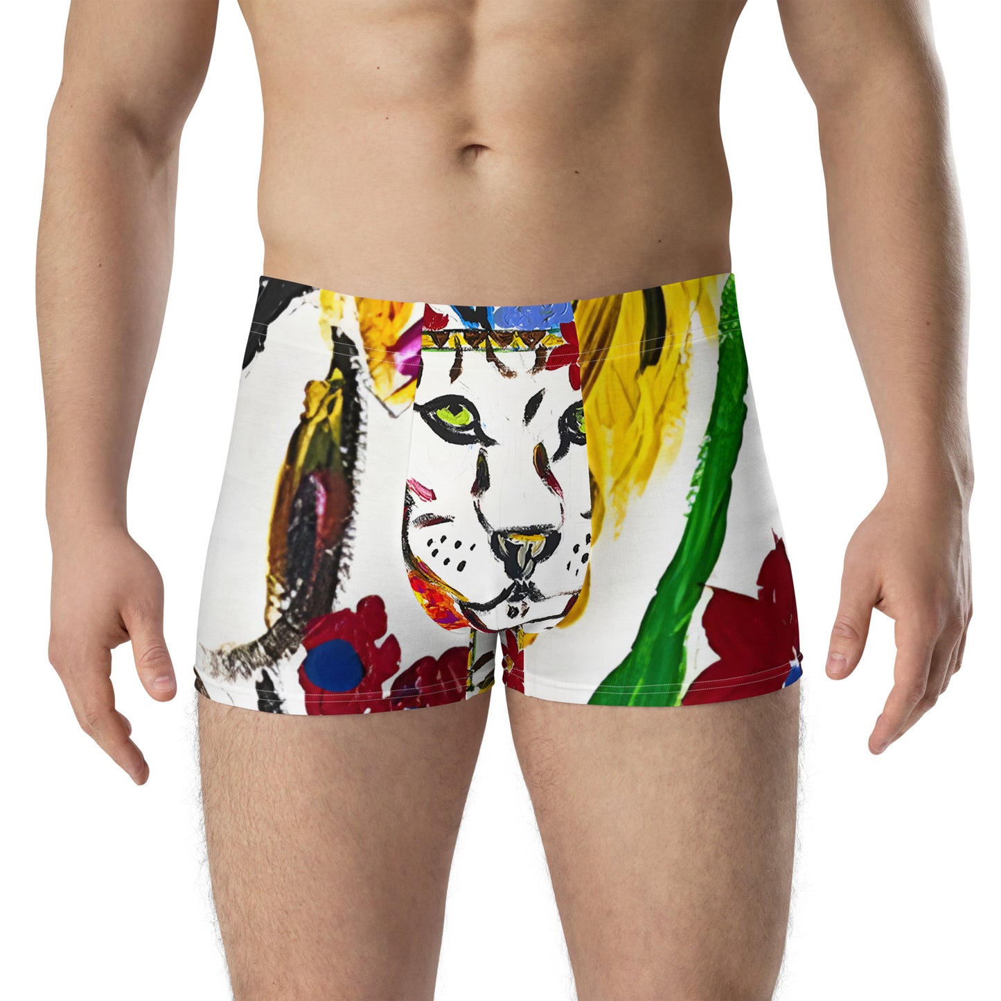 Magical Lion Boxer Briefs