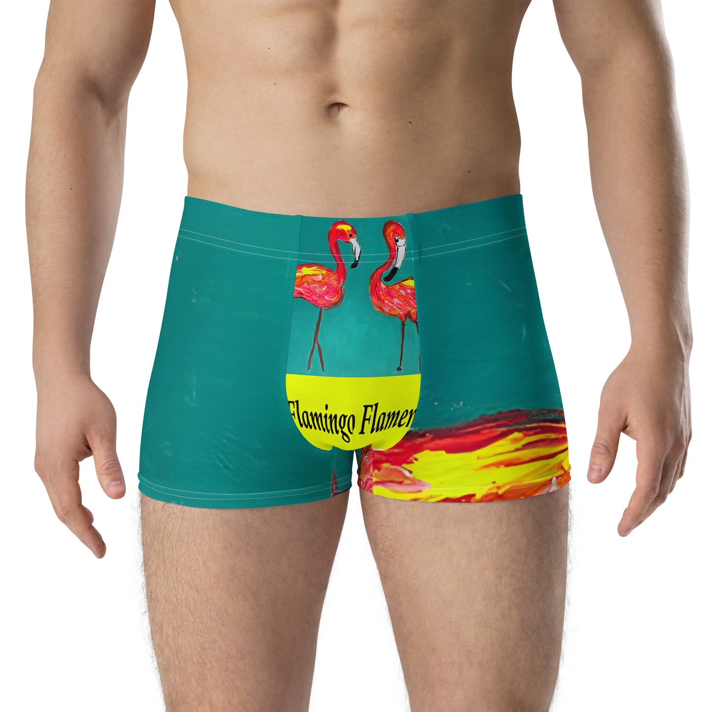 Flamingo Flamenco Boxer Briefs