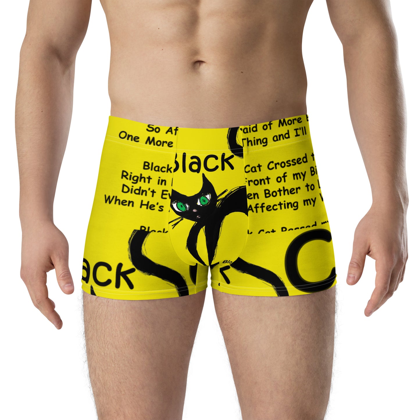 Black Cat Heart Attack Boxer Briefs