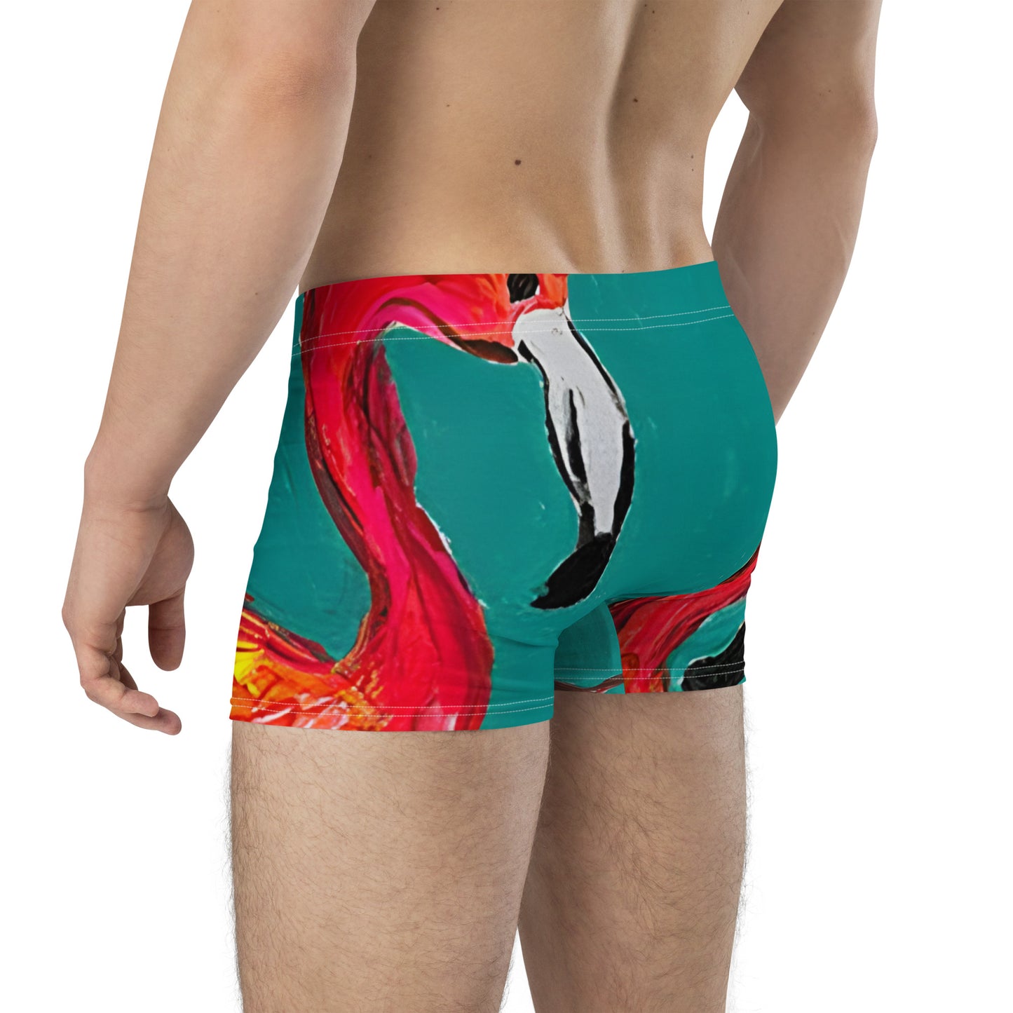 Flamingo Flamenco Boxer Briefs