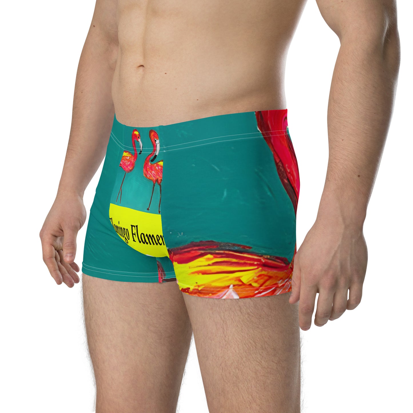 Flamingo Flamenco Boxer Briefs