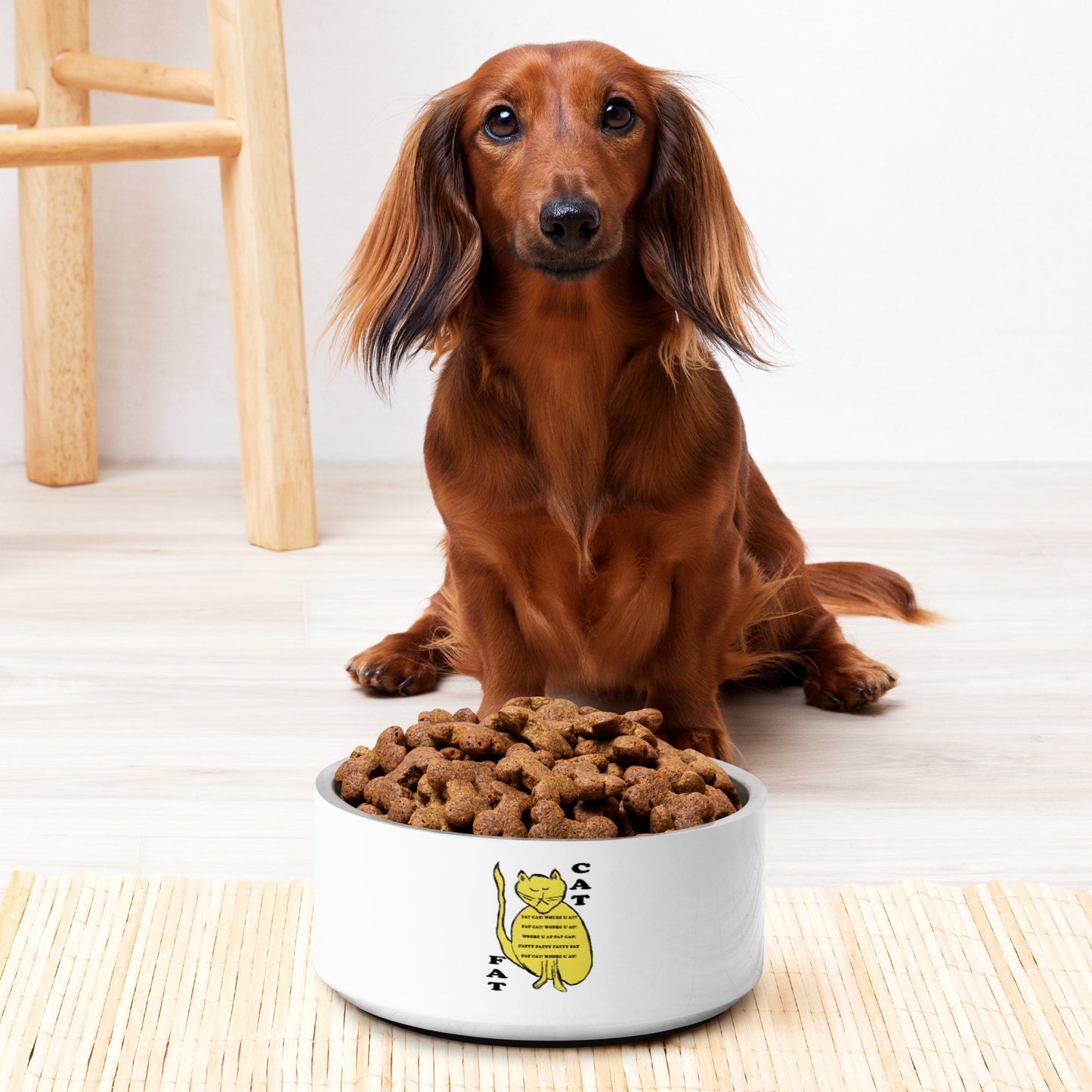 Fat Cat Pet bowl